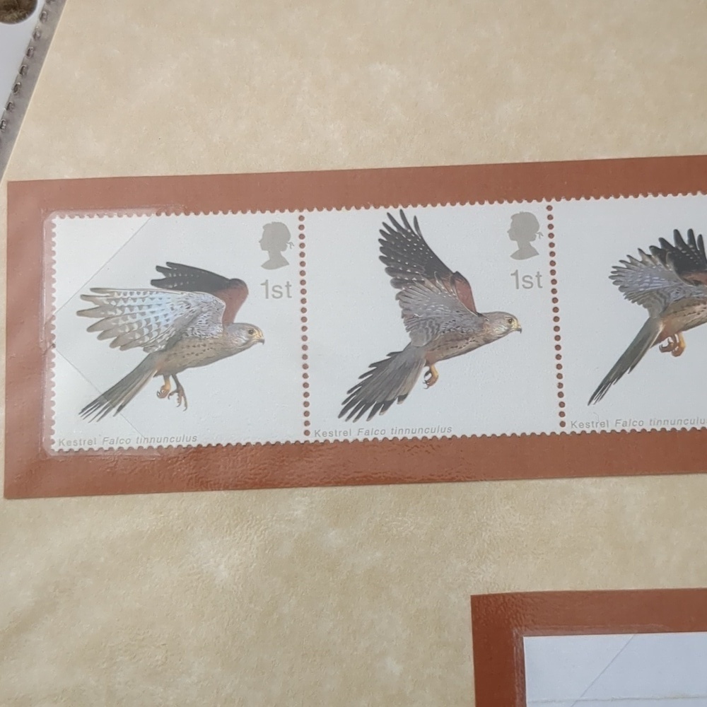 Kestrel Bird Stamp Collection Sheet - Picture 2 of 6